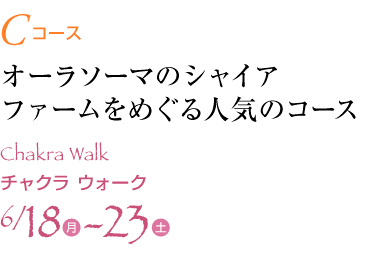 コース3 オーラソーマの社員ファームをめぐる人気のコース「チャクラウォーク」 6月18日(月)〜23日(土)
