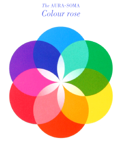 Color Rose
