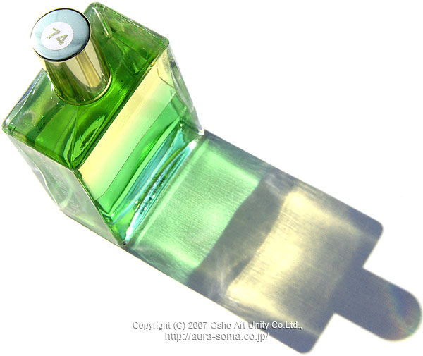 �����饽���ޡ���������֥ꥢ�� B074 Triumph ����