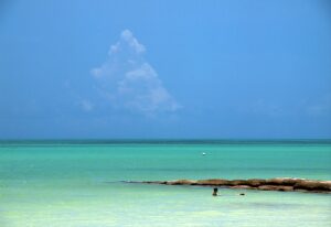 カリブ海の浜辺